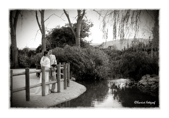Vicente Escriv� -Cullera